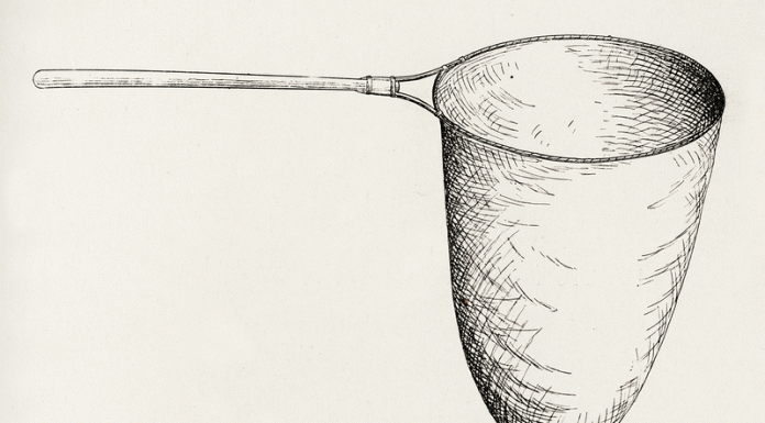 Basic Equipment for Collecting Insects Basic Equipment for Collecting Insects