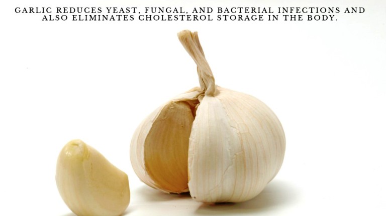 THE MEDICINAL BENEFITS OF GARLIC - It reduces yeast, fungal, and bacterial infections and also eliminates cholesterol storage in the body.