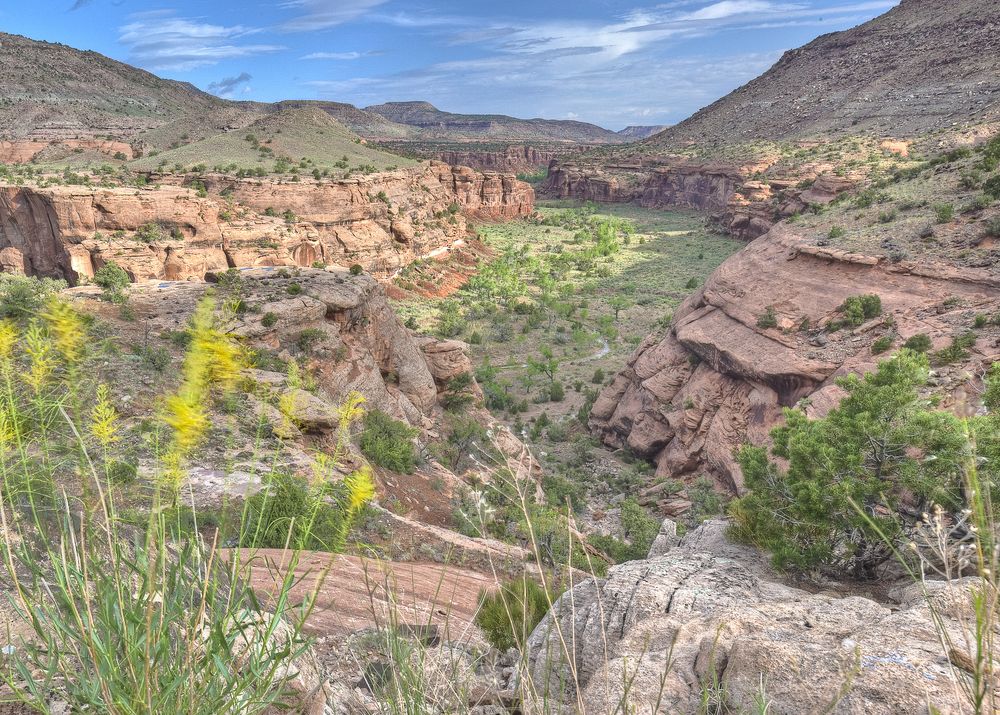 In the canyon, a gentle divide-the almost imperceptible Unaweep Divide-allows two small creeks to flow paradoxically opposite directions.