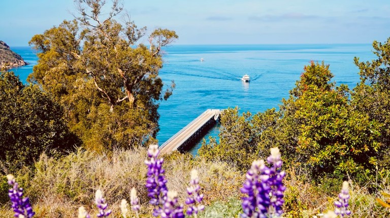 7 Locations on the West Coast for a Perfect Summer Break