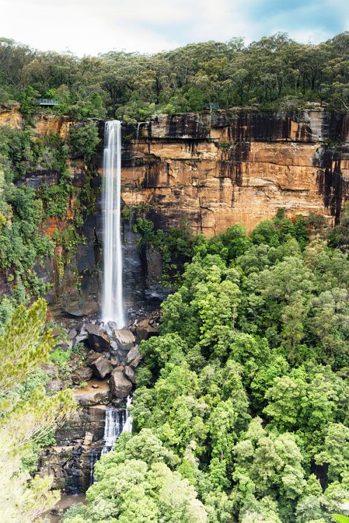 Fitzroy waterfall plunges 81m into an untouched valley, making it one of the most spectacular waterfalls in Australia. 