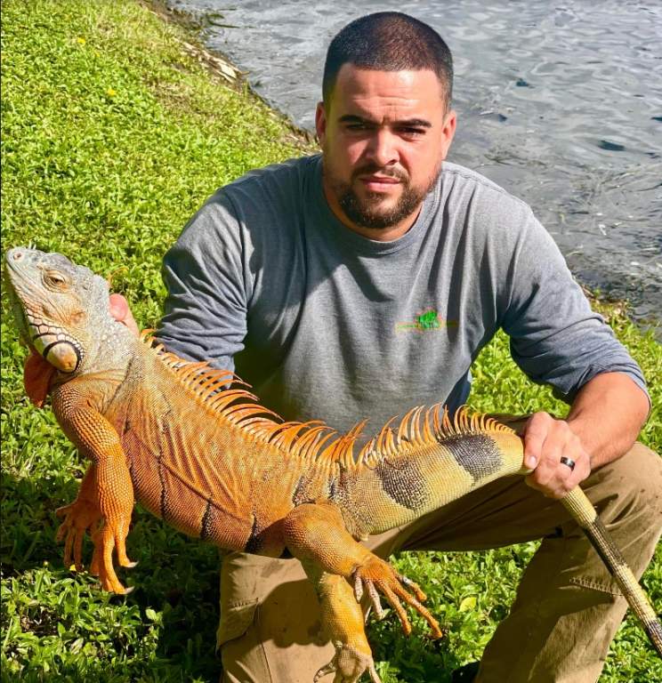 recommend hiring a professional iguana removal service to effectively rid your property of them without wasting money on unproven techniques.