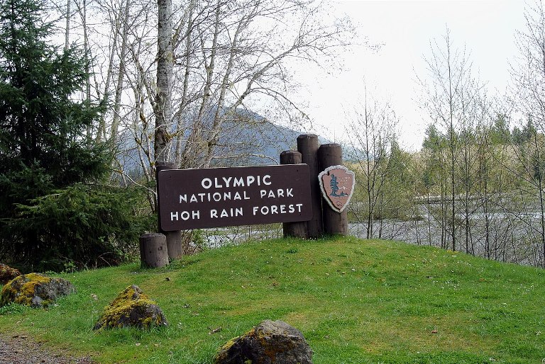 Hoh Rainforest - World's Most Spectacular Temperate Rainforests