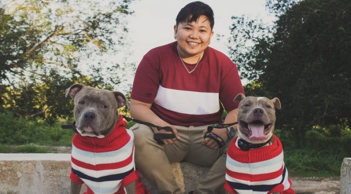 How Tech Advancements Help Owners Keep Their Pets Safe How Tech Advancements Help Owners Keep Their Pets Safe