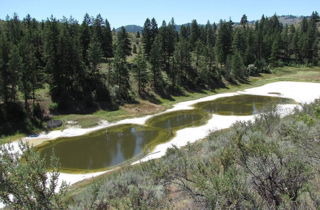 Hot Lake - A Hypersaline, Meromictic Lake in Washington