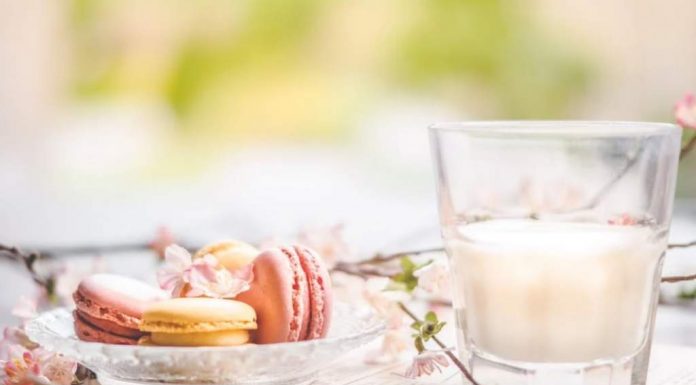 Milk The Love of Our Lives Milk The Love of Our Lives