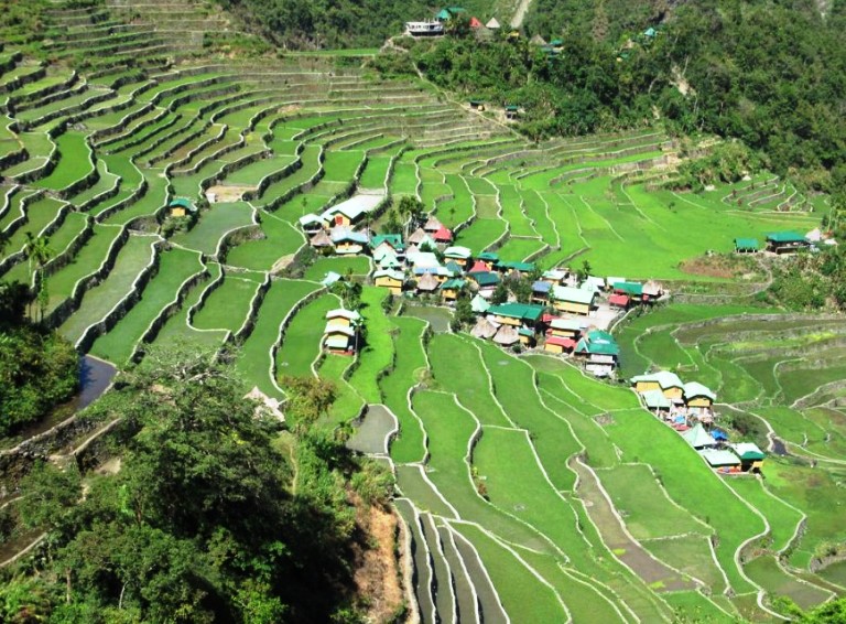 Terracing was done by hand, and then stone or mud walls were built to follow the natural contours of the hills.