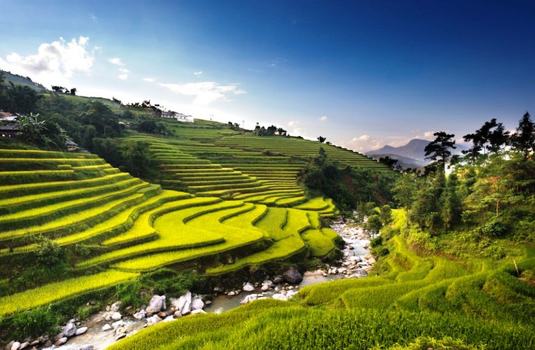 Man and nature have worked together ingeniously and anciently on the island of Luzon, resulting in these mountainside rice fields.