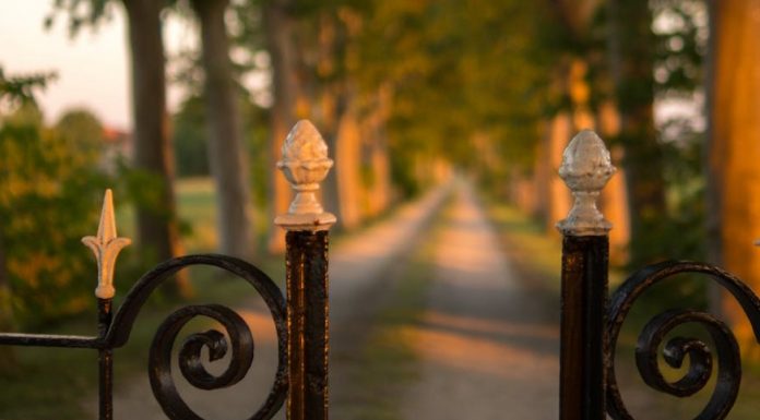 Long-Lasting Fence and Gate Maintenance and Repair Long-Lasting Fence and Gate Maintenance and Repair If you own a fence or gate, you know how important it is to maintain and repair it regularly.