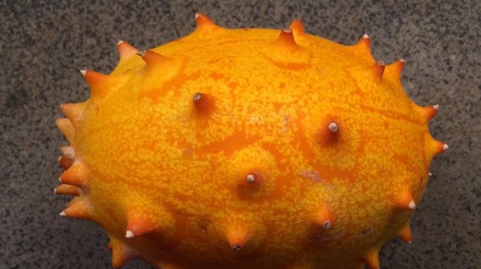 Horned Melon and its Benefits Horned Melon and its Benefits The horned melon, also known as the "kiwano", is a fruit native to Africa. It has a bright orange, spiky exterior and a jelly-like interior with a slightly tart flavor.