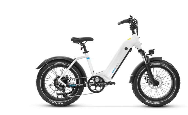 Electric bikes for adults are designed for riders who are looking for a convenient and efficient mode of transportation. These bikes are typically built with higher weight capacity and are more durable to handle the needs of adult riders.
