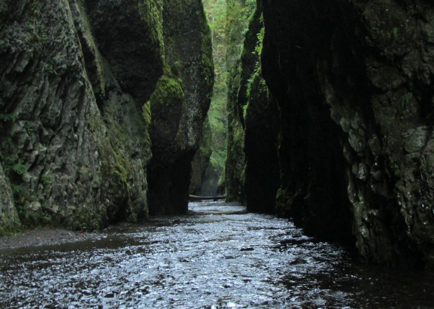 Oneonta Gorge lies in the Columbia River Gorge area of Oregon, in the United States.