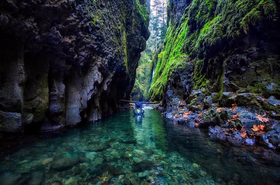 Oneonta Gorge - One of the Most Dramatic Chasms in Oregon