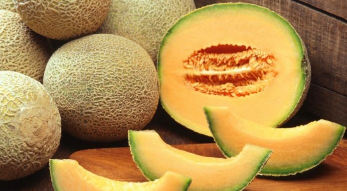 What Differences Between Cantaloupe and Melon Differences Between Cantaloupe and Melon
