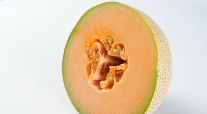 Cantaloupe Health Benefits and Nutrition Cantaloupe - Health Benefits and Nutrition - Cantaloupe, also known as muskmelon, is a delicious and nutritious fruit that is packed with a variety of health benefits.