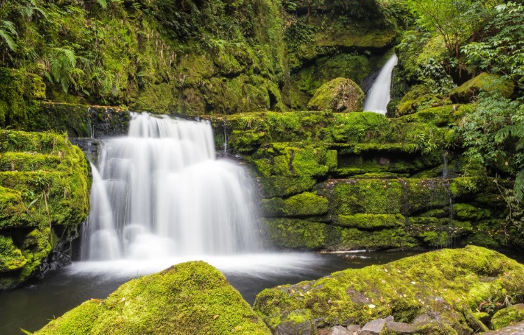 McLean Falls descend a number of steep drop-offs and terraces on the Tautuku River in Catlins Forest Park, reaching 22 meters at their highest point, where they meet their first water pool.