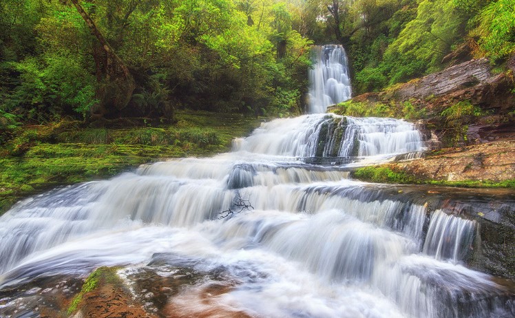 You can't go to the Catlins without visiting McLean Falls, the most famous waterfall.