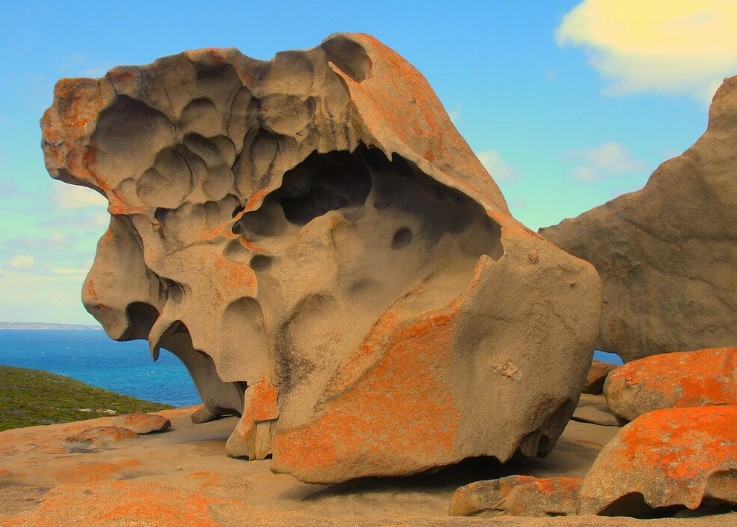 The granite of the Remarkable Rocks is primarily composed of black mica, bluish quartz, and pinkish feldspar.