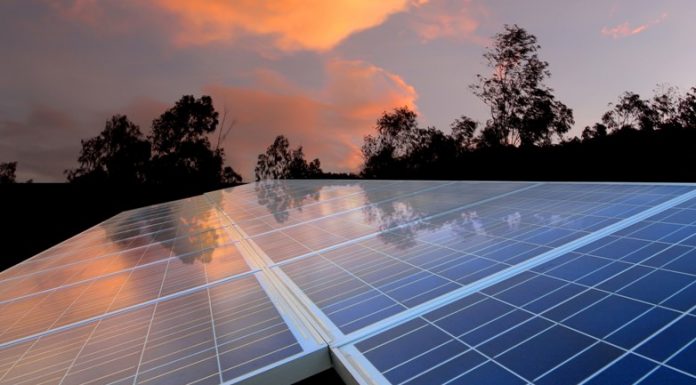 5 Things to Know About South Carolina Solar What do you know about South Carolina solar? You can read about the available companies and learn how to get the best deal for solar installation.