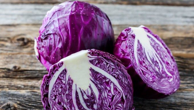 Red Cabbage – An effective Preventative Medicine It has been found that red cabbage is an effective preventative medicine. The healing powers of this plant have been attested to in traditional medicine for a very long time, and they cover a wide range of ailments.