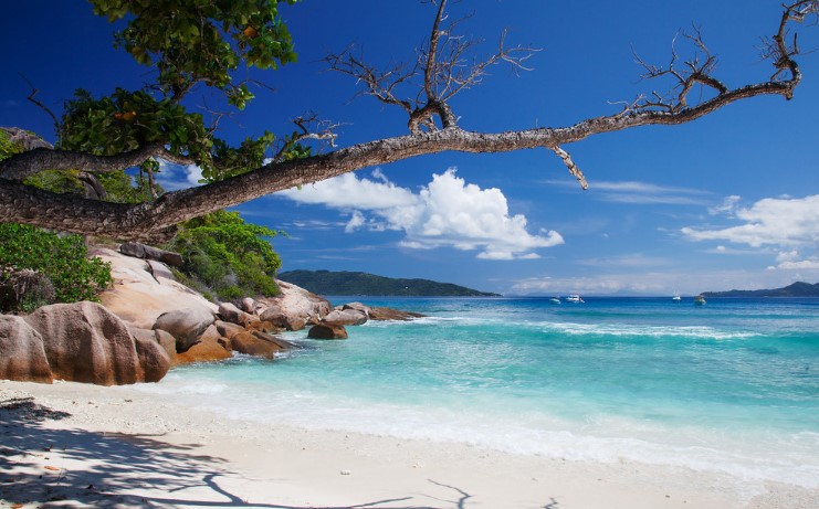 Seychelles:A mindblowing tropical paradise that is perfect for honeymoon couples seeking a romantic getaway. With its stunning beaches, crystal-clear waters, and lush tropical forests.