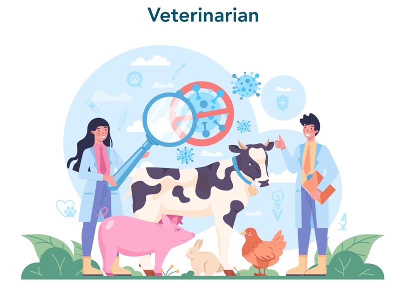 Veterinary Learning: Finding the Best Educational Resources for Veterinarians