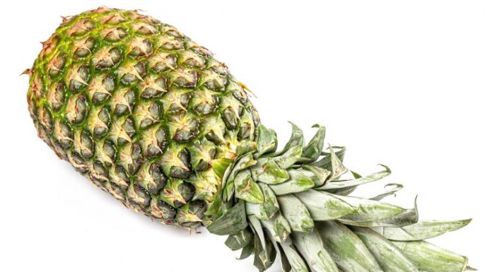 Pineapples: The Versatile Tropical Fruit Delight You Need to Try The word "pineapple" comes from the Spanish word "piña," which means "pinecone," and the English word "an apple," due to the fruit's resemblance to a pinecone and the sweetness of the fruit.