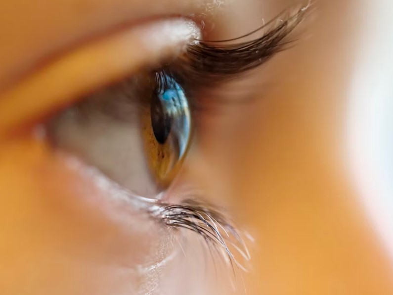 Contact lenses are the best solution to poor eyesight and they are highly affordable.