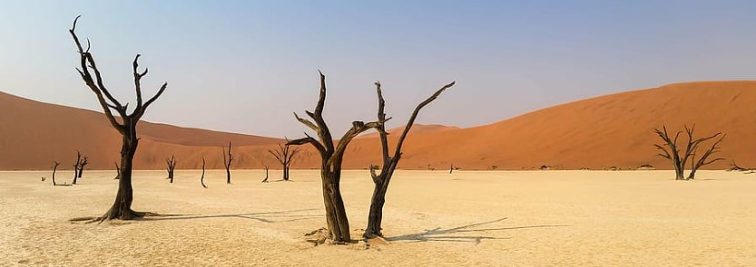 The famous Sossusvlei is located in Namibia, in the southern part of the Namib Desert. Among the towering red sand dunes are salt and clay pans surrounded by salt and clay pans.