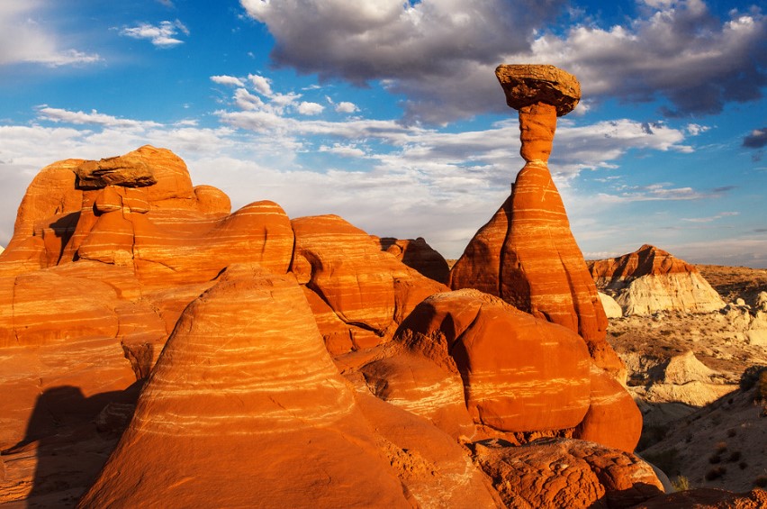 These geological formations are located in the Vermilion Cliffs National Monument, in the northern part of the state.