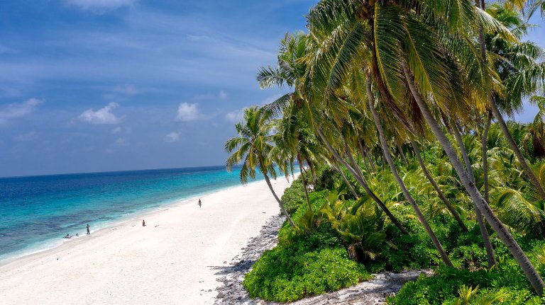 There is no better beach than Thoondu Beach a white sand beach located north of Fuvahmulah in the Maldives.