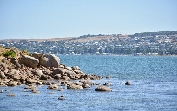 Planning A Wedding In Adelaide? Here’s What You’ll Need Planning A Wedding In Adelaide Here's What You'll Need