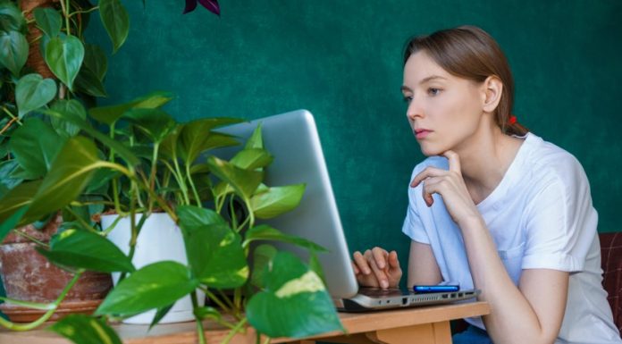 Flower Delivery: A Convenient and Thoughtful Option for Every Occasion Flower delivery services have revolutionized the way we send our love, appreciation, and support to friends, family, and colleagues.