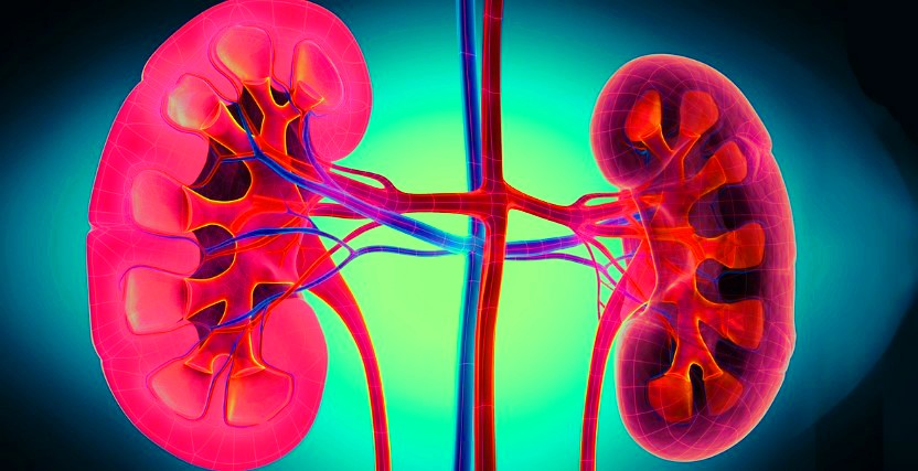 Nephritis Symptoms, Causes, and Treatment