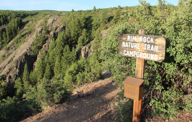 This is a dirt and rock-packed path that makes up most of the trail.