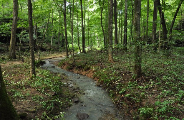 Bicyclists and hikers alike enjoy Rimrock Trail paved out-and-back trail.