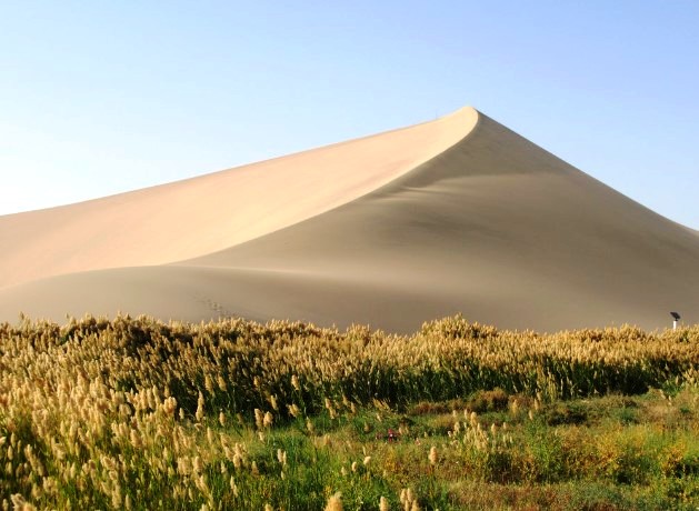 Due to the sound the sand makes, the mountain is named singing mountain. 