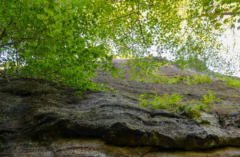 Any time of year is a good time to visit this rimrock trail, but the fall is particularly beautiful.