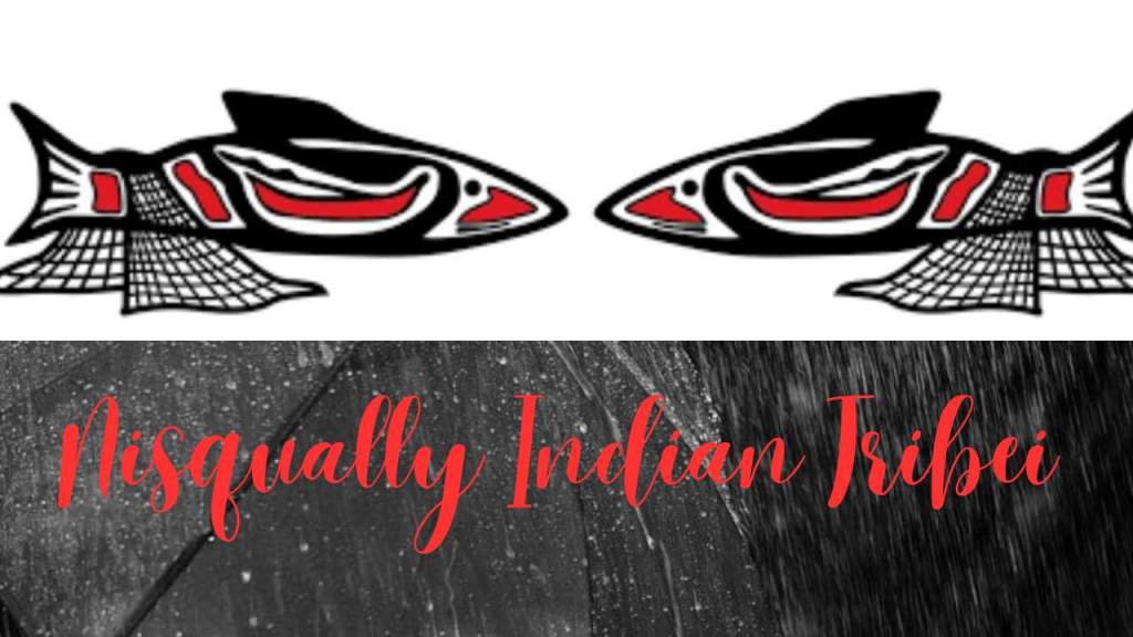 Known as the Nisqualli, the Nisqually Tribe was a Salishan clan in the Northwest Coast Culture Area.