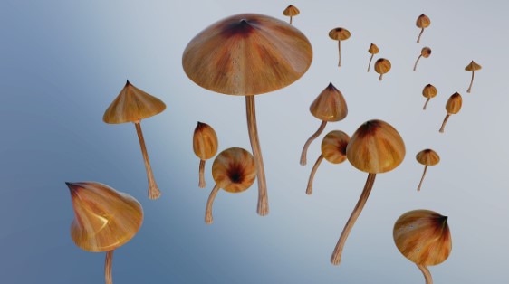 With new research and studies supporting the effectiveness of psilocybin in treating mental health disorders, the industry is experiencing a major shift towards a more medicinal approach.