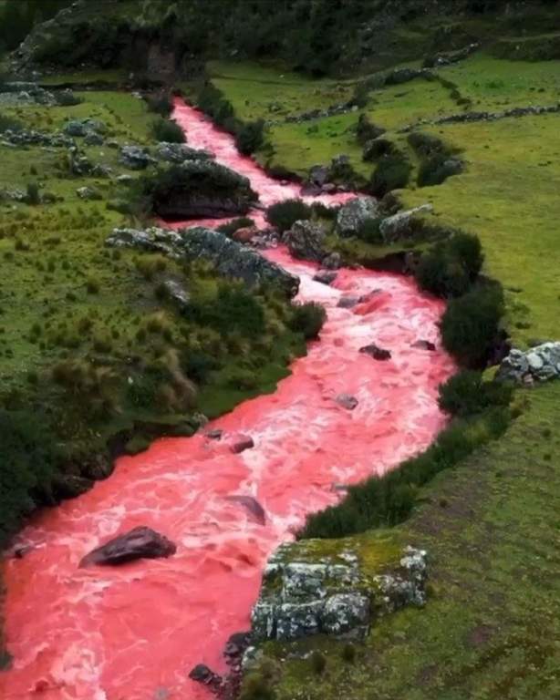 Rainy season (December - April) is the best time to visit the red river because the color of the water depends on precipitation.