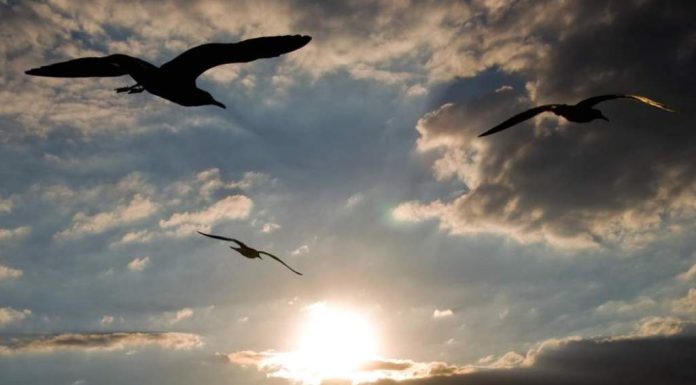 Forgetting Tomorrow I'm forgetting tomorrow I know I'm supposed to do something. I just can't remember what it is. I need to stay focused and remember.