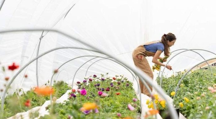 Protect Your Back While Gardening with Back Support Belt Protect Your Back While Gardening with Back Support Belt