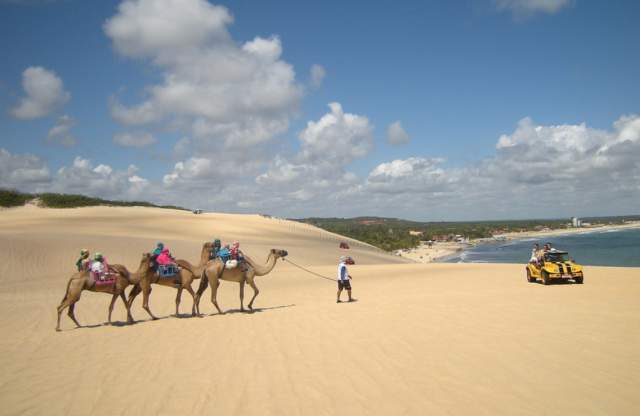 In 2020, camel rides on the dunes won't be available as easily as they were in the past.