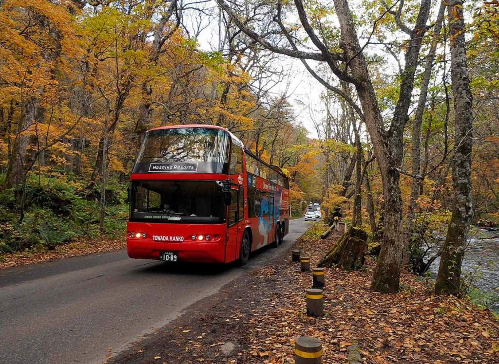 Autumn Bus Tour in Europe Autumn in Europe is a favorite time for tourists, and we are not surprised, as we ourselves are also seeking exploration opportunities to enjoy the crisp, refreshing air and the breathtaking display of red, orange, and golden leaves.