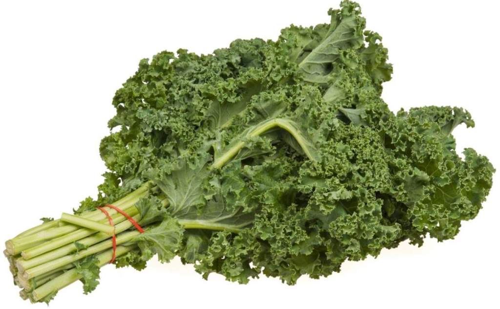 Kale is a domesticated form of Brassica oleracea, a member of the cabbage family. It is grown primarily for its leaves.