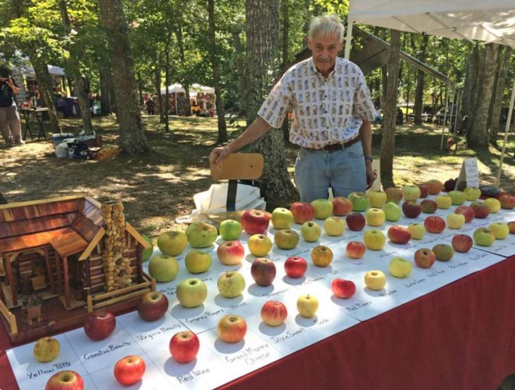 Tom Brown: The Apple Hunter Rescuing Over 1,200 Lost Varieties
