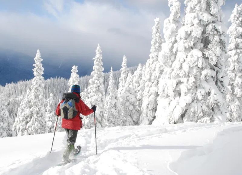 Ski Resorts in the World for Snowshoeing