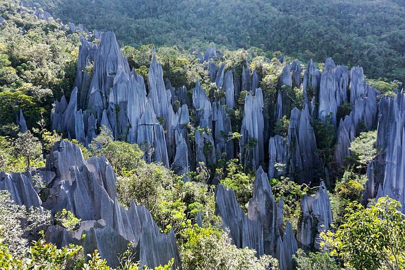 Mount Api is a limestone peak situated in Sarawak Malaysia's Gunung Mulu National Park is a veritable wonderland with an abundance of remarkable biodiversity and unusual geodiversity.
