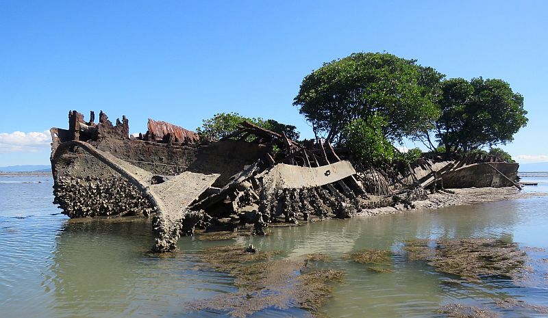 Still, the wreck is an artificial island that supports a variety of flora and fauna.